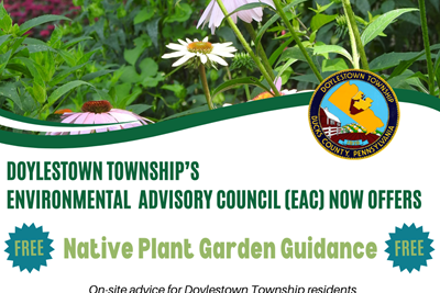 Native Plant Garden Guidance