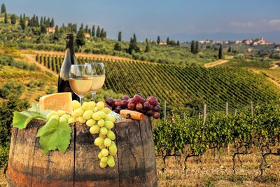 2025 Trips with Premier World Discovery