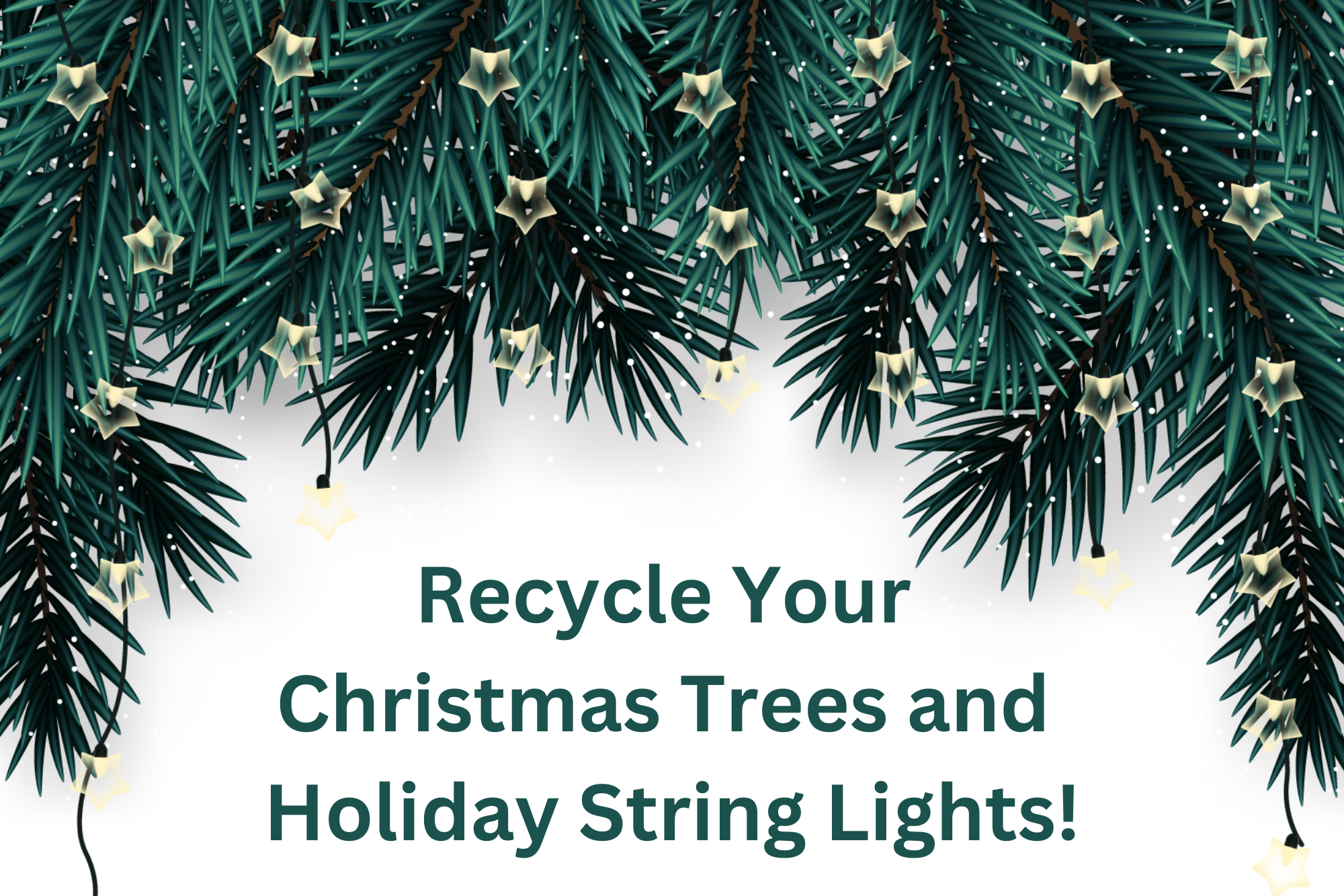 Christmas Tree & Holiday String Lights Recycling